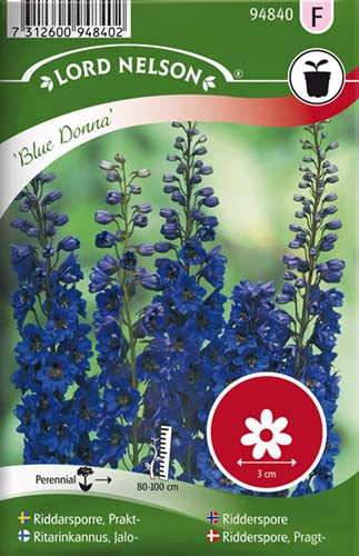 Ridderspore, Pragt-, Blue Donna