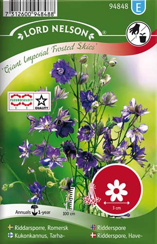 Ridderspore, Have-, Frosted Skies