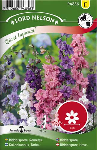 Ridderspore, Have-, Giant Imperial, høj