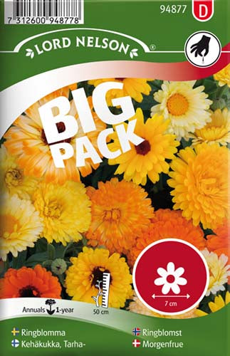 Morgenfrue, Have, bl. farver, Big Pack