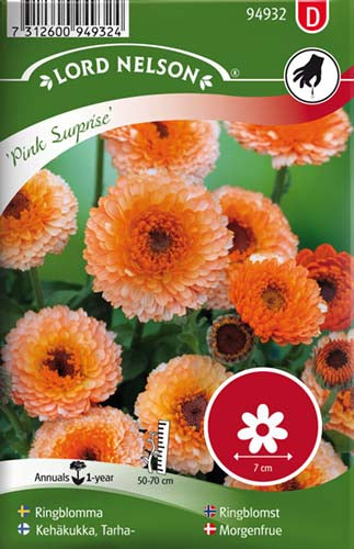 Morgenfrue, Have, Pink Surprise