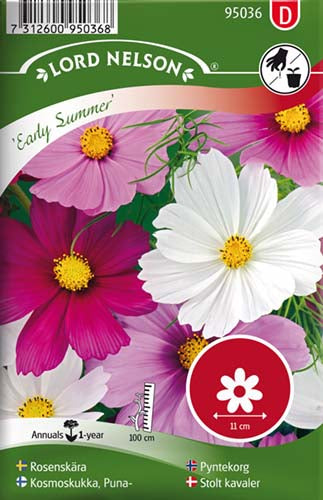 Stolt kavaler, Early Summer, bl. farver