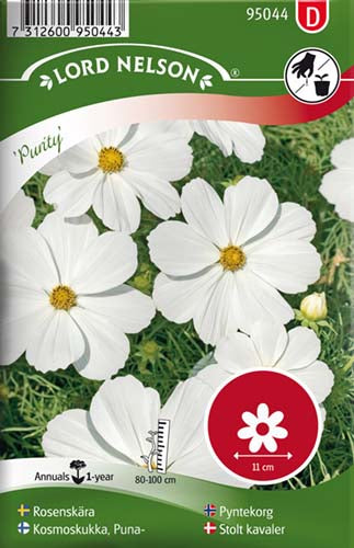 Stolt kavaler, Purity, hvid