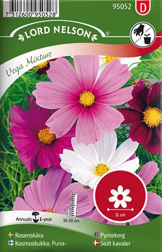 Stolt kavaler, Vega Mixture