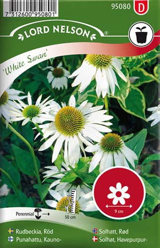 Solhat, Havepurpur-, White Swan