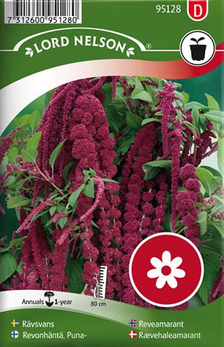 Rævehaleamaranth, rød