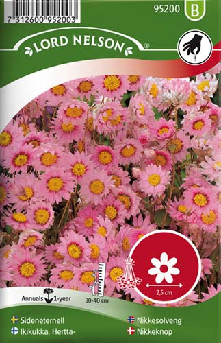 Nikkeknop, Ægte, rosa