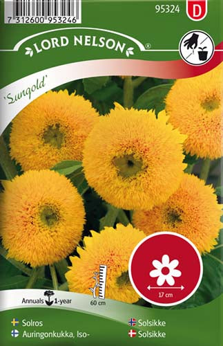 Solsikke, Sungold, lav