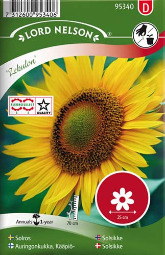 Solsikke, Zebulon, lav