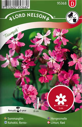 Limurt, Rød, Triumph, dobbel