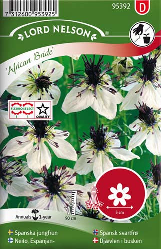 Djævlen i busken, African Bride