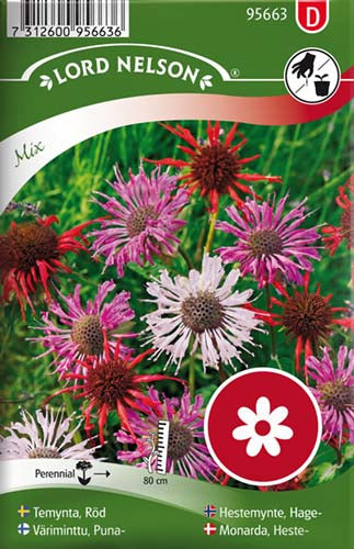 Monarda, Heste - Monarda didyma L.