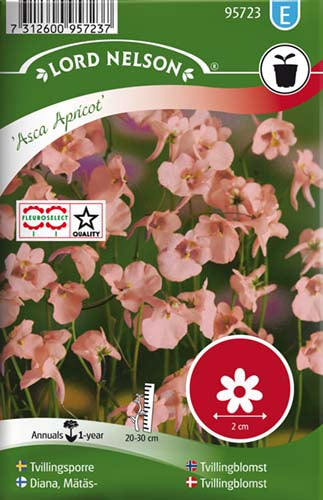 Tvillingblomst, Smalbladet, Asca Apricot