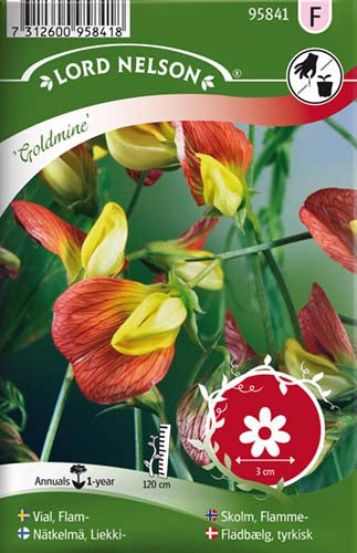 Fladbælg, tyrkisk, Goldmine