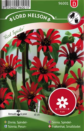 Frøkenhat, Smalbladet, Red Spider