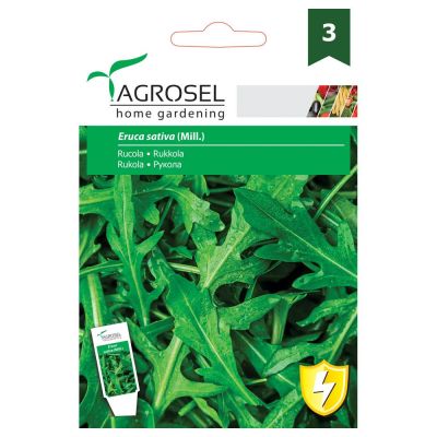 Rucola salat - Eruca Sativa