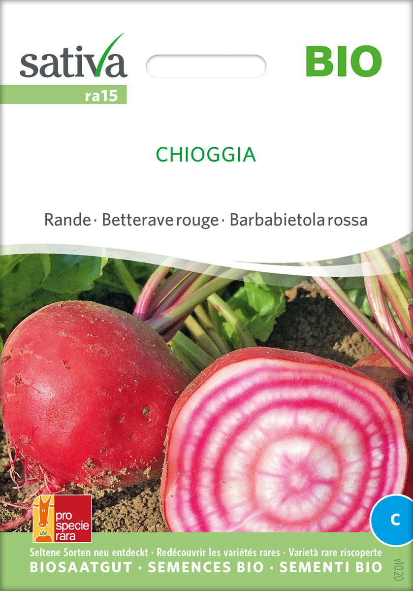 Rødbede - Chioggia - ØKO
