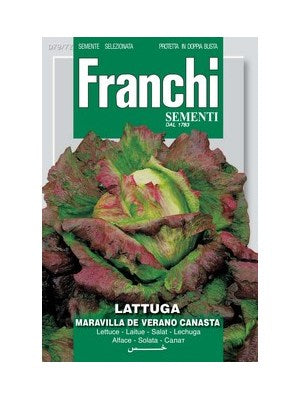 Salat - Maravilla de Verano canasta