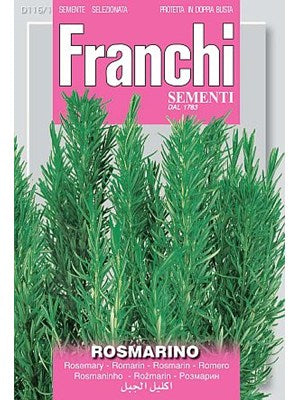 Rosmarin - Rosmarino