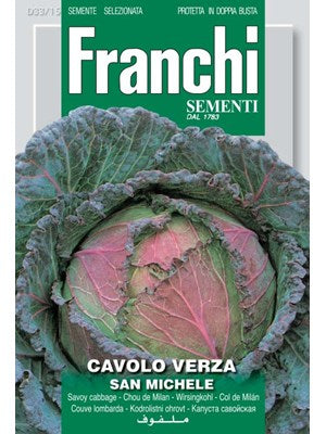 Savoy Kål - San Michele