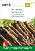 Havrerod - Purple salsify - Scorzobianca - Tragopogon porrifolius - ØKO