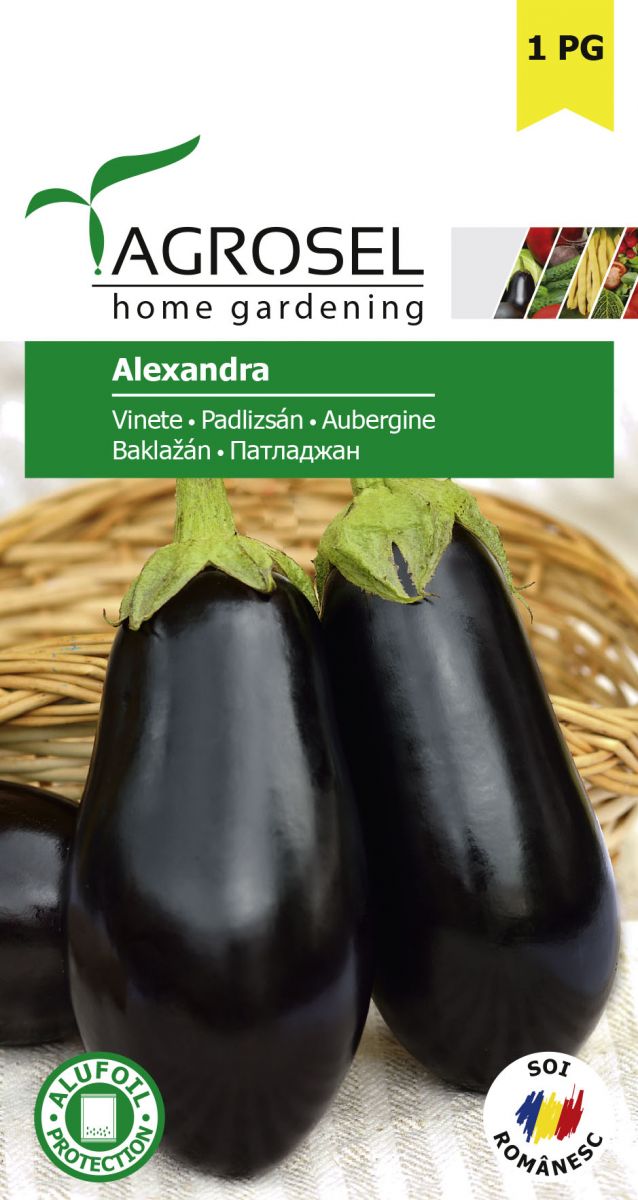 Aubergine - Agrosel