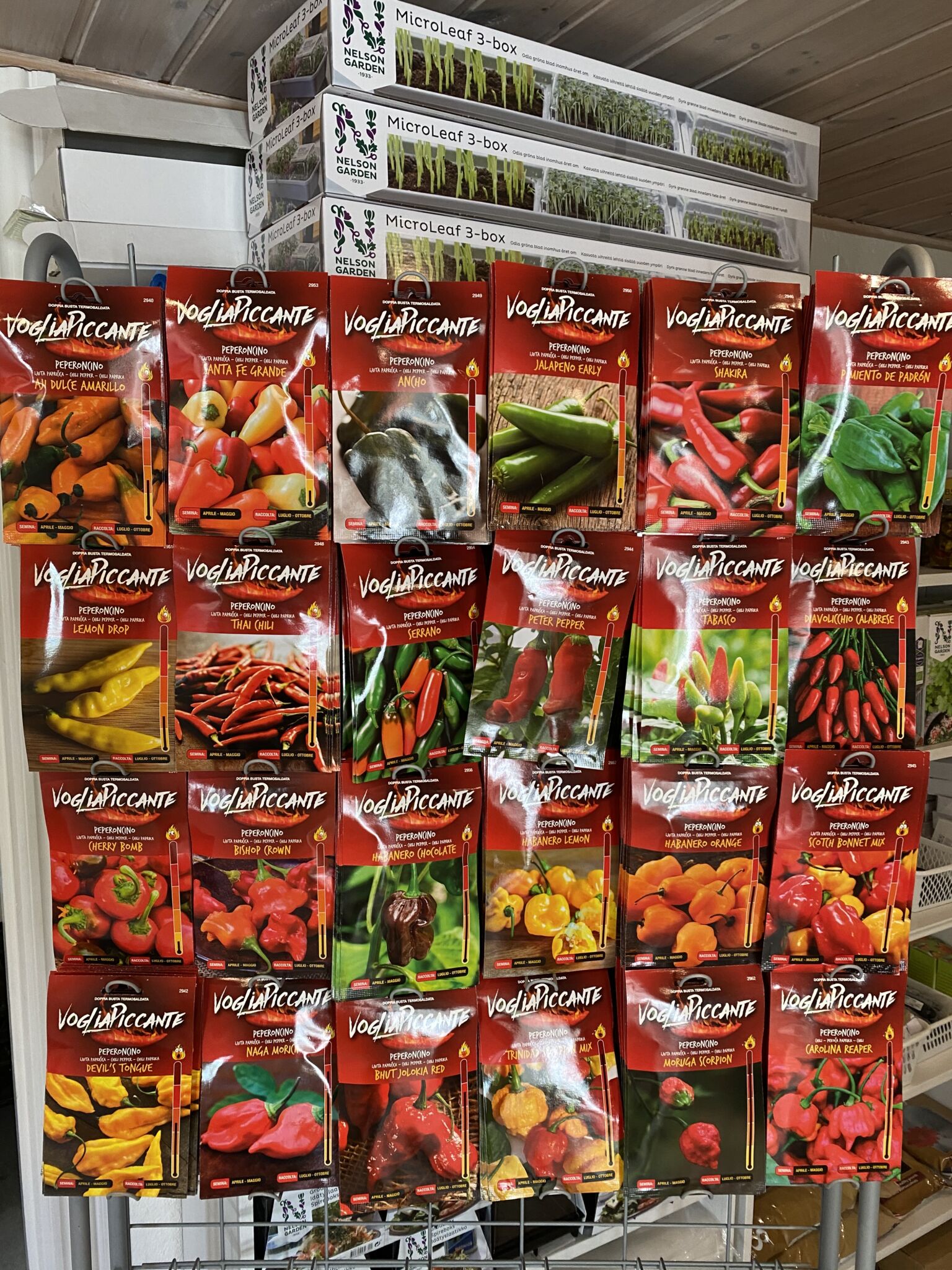 chilifrø