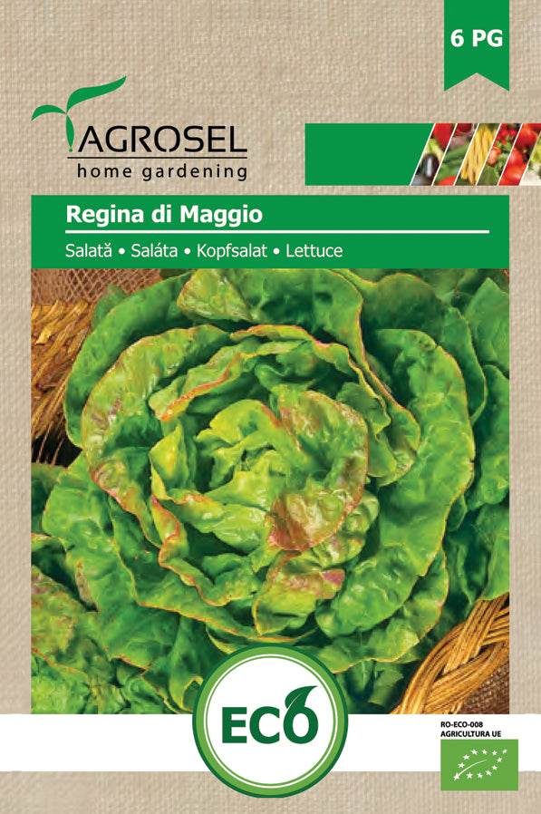Salat - Agrosel