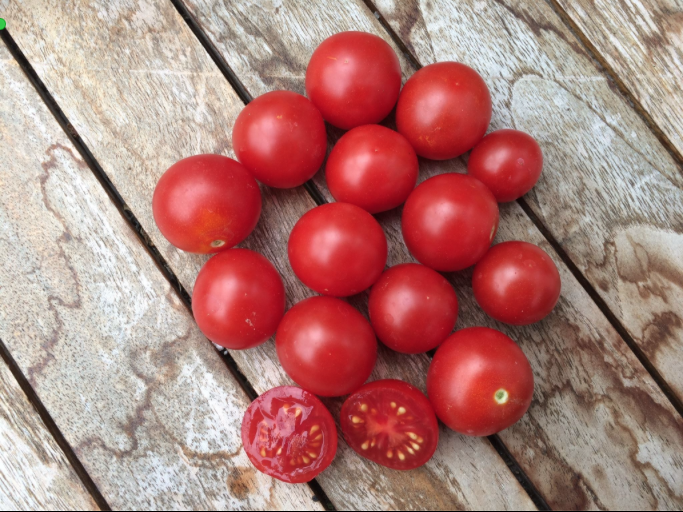 Tomater - Pomodoro