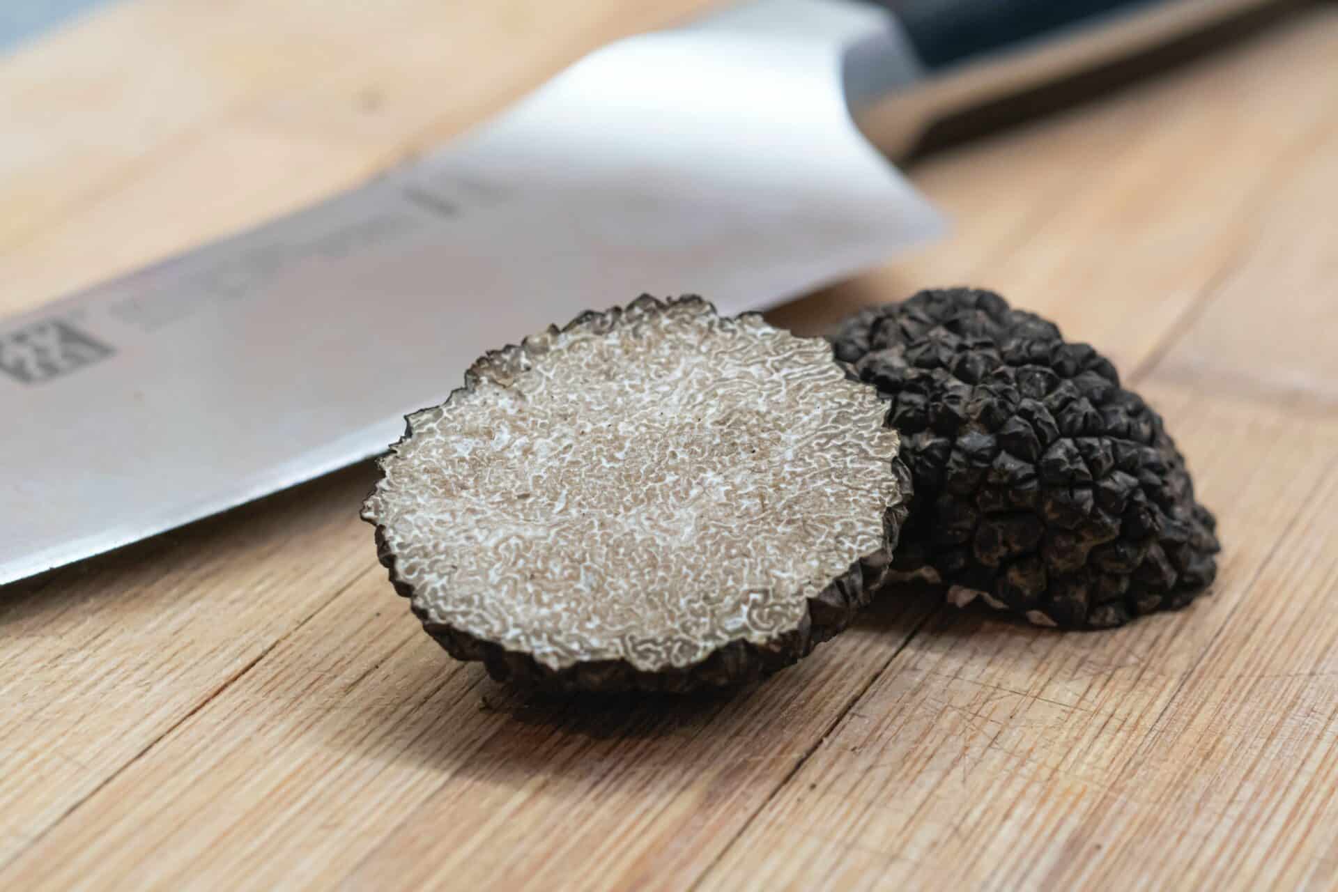 Svampemycelie