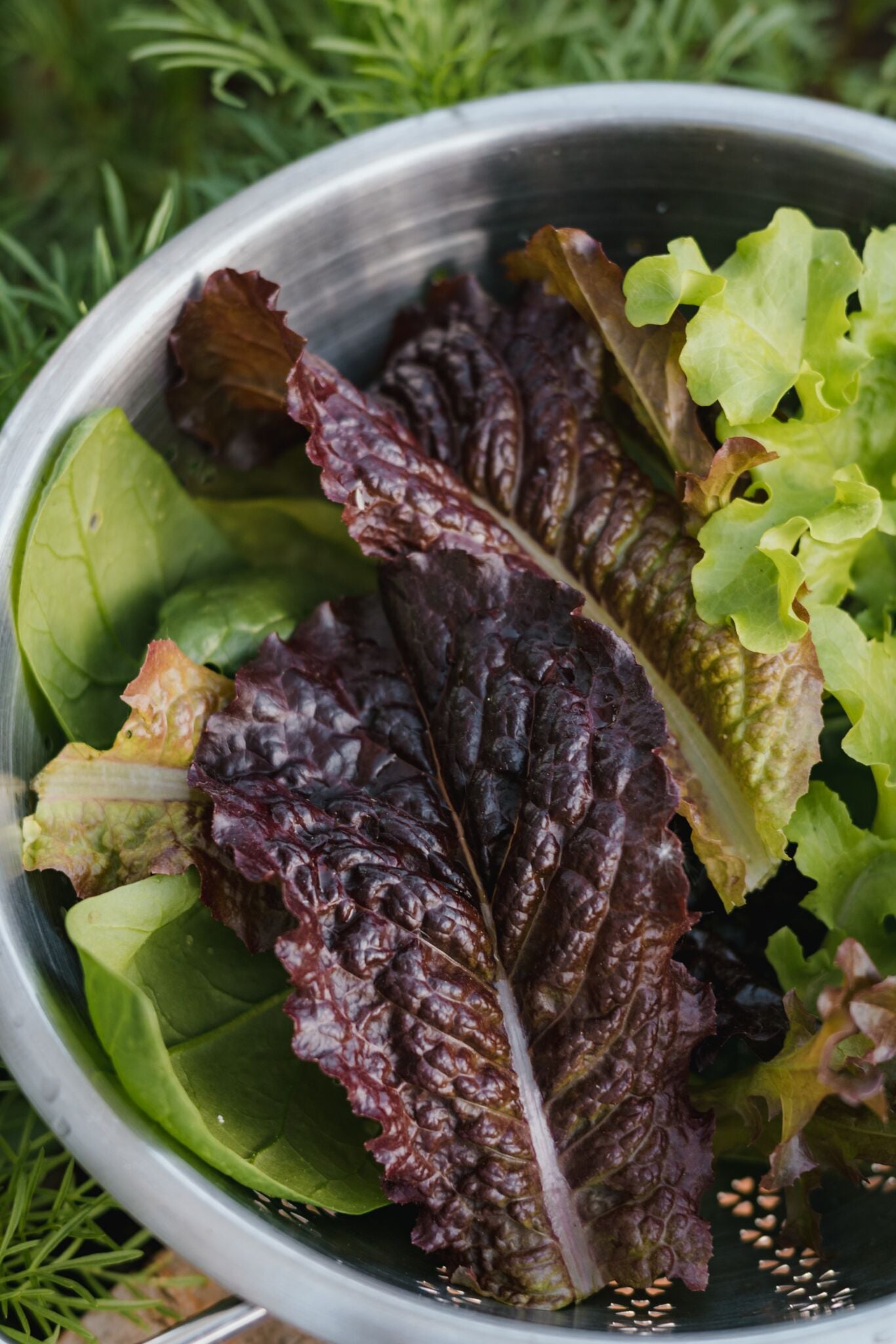 Salat