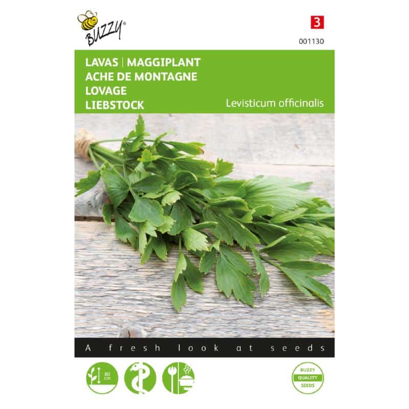 Løvstikke - Levisticum officinalis