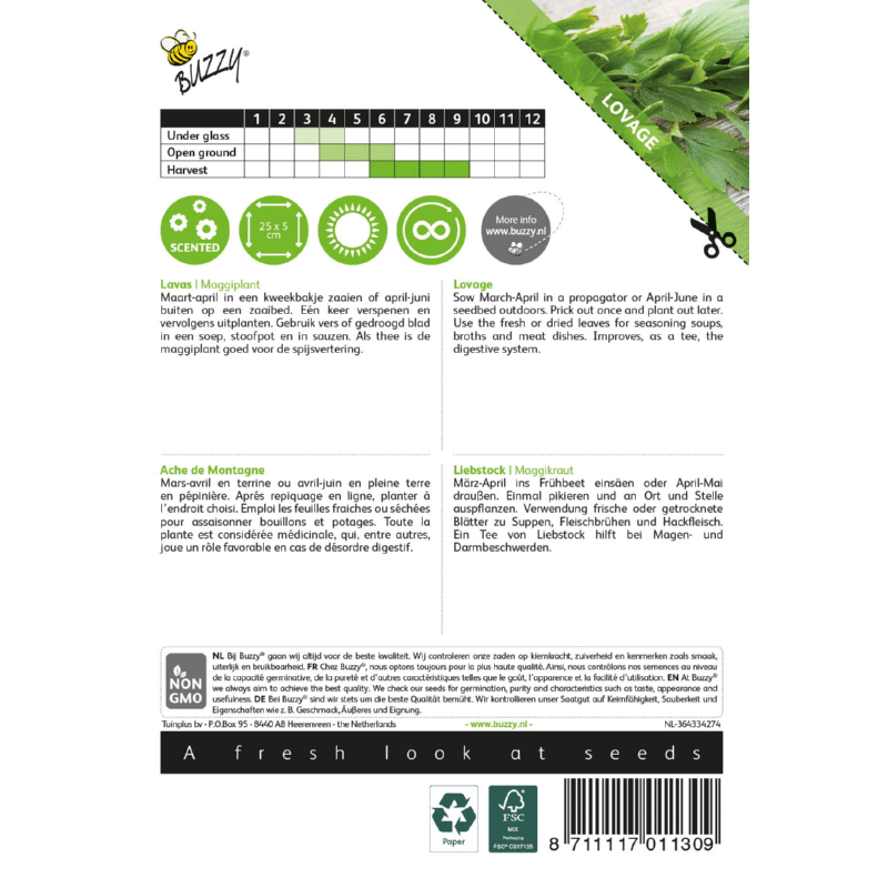 Løvstikke - Levisticum officinalis