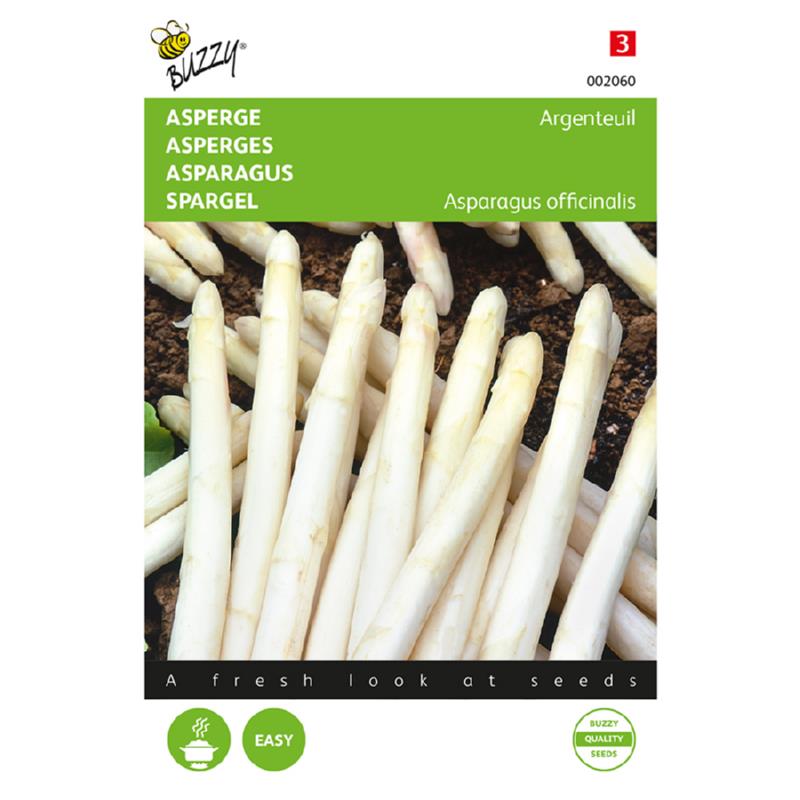 Asparges - Argenteuil - Asparagus officinalis