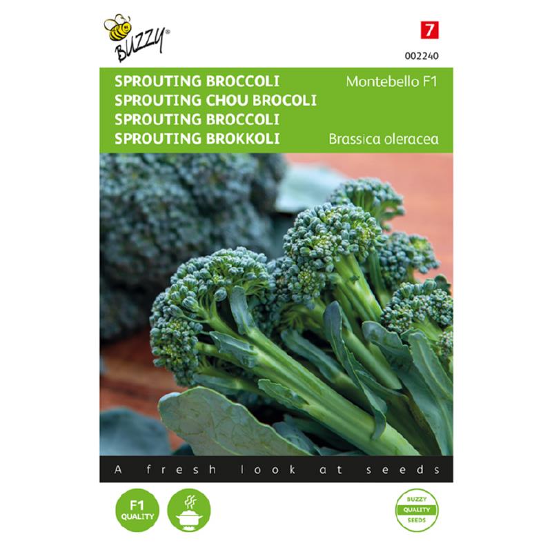Broccoli ‘Montebello F1’ -  Perfekt til broccoli-asparges