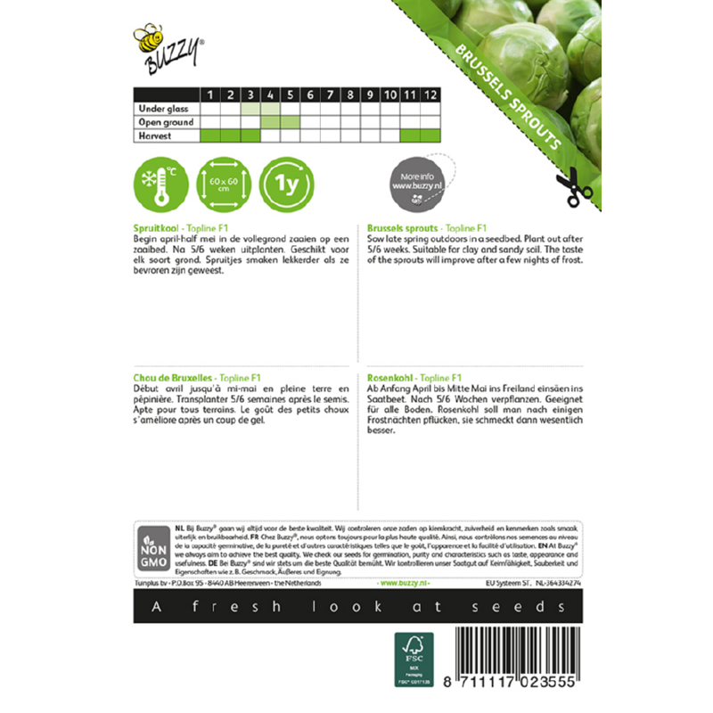 Rosenkål - Topline F1 - Brassica Oleracea