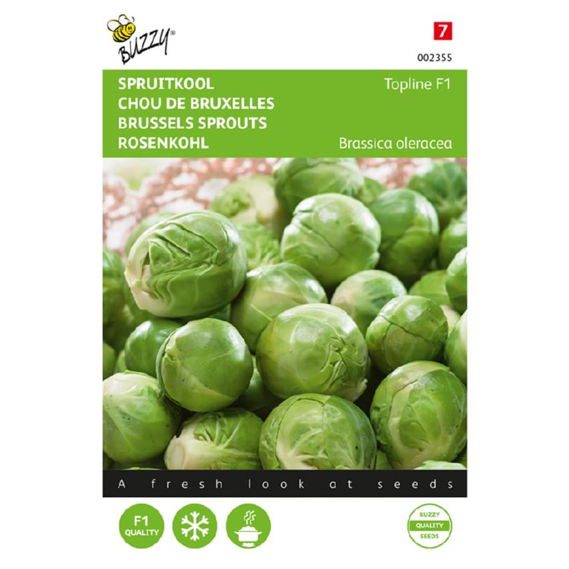 Rosenkål - Topline F1 - Brassica Oleracea