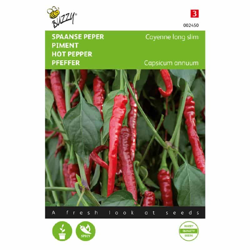 Cayenne long slim - C. annuum