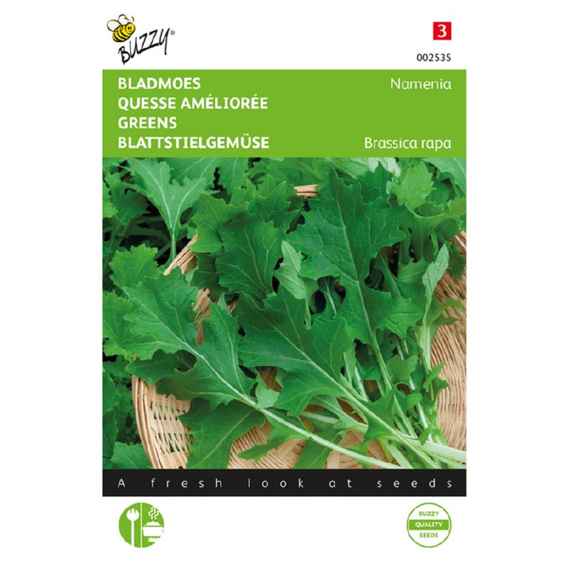 Bladmoes - Namenia - Brassica Rapa