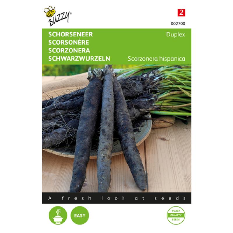 Skorzonerrod - Duplex - Scorzonera Hispanica