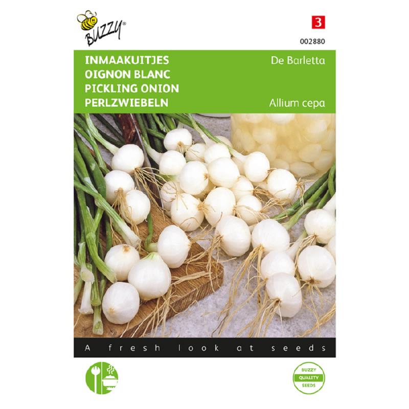 Perleløg - De Barletta - Allium Cepa