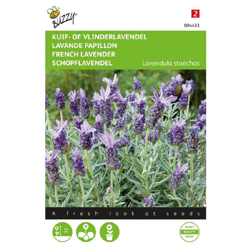 Fransk Lavendel - Lavendula stoechas