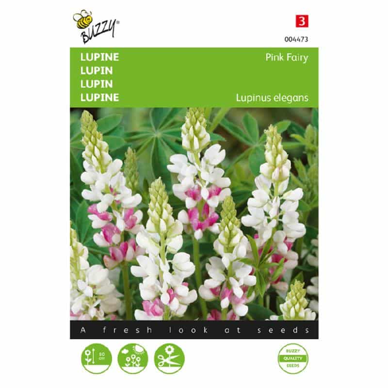 Lupin - Pink Fairy