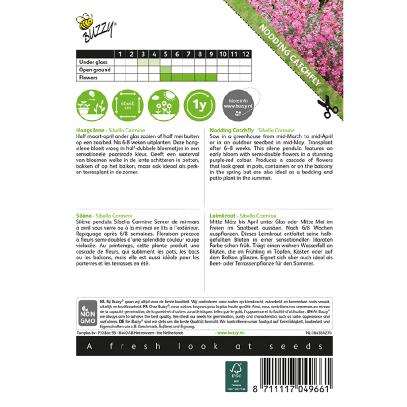Hængesilene - Silene pendula