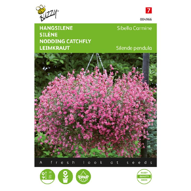 Hængesilene - Silene pendula