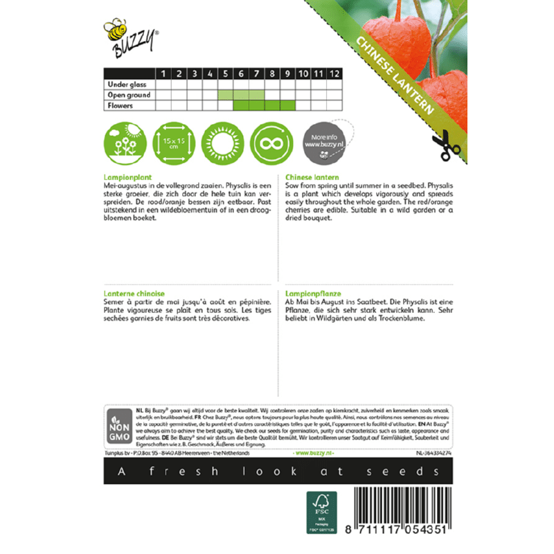 Japansk Lygte - Physalis alkekengi