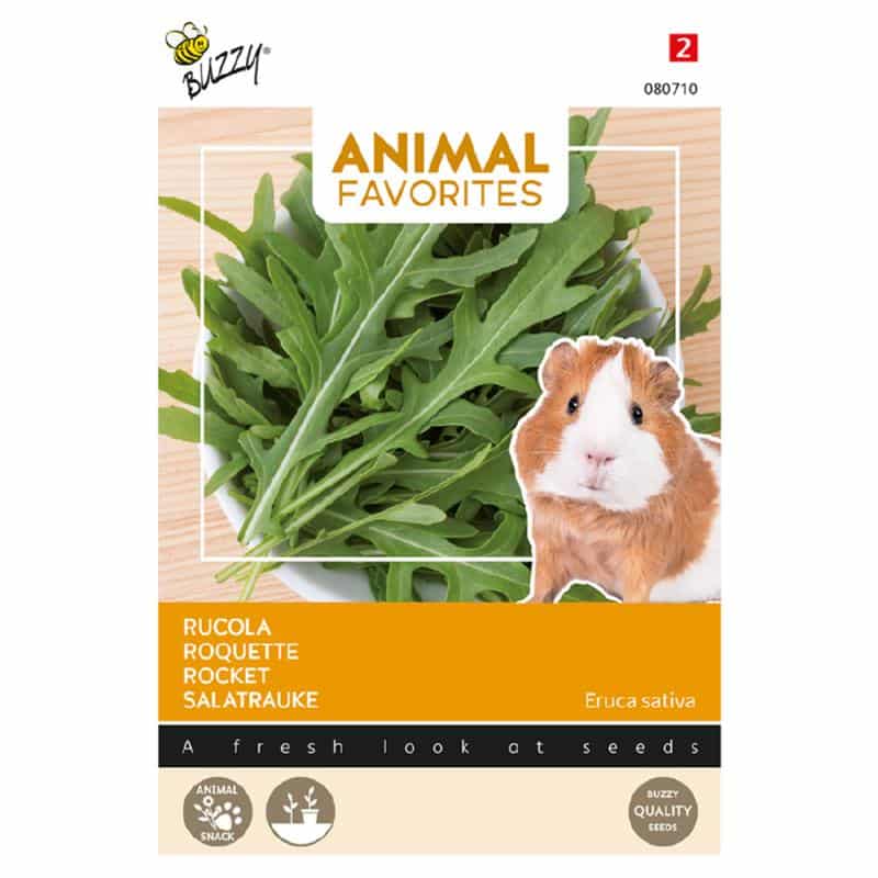 Rucola - Eruca sativa
