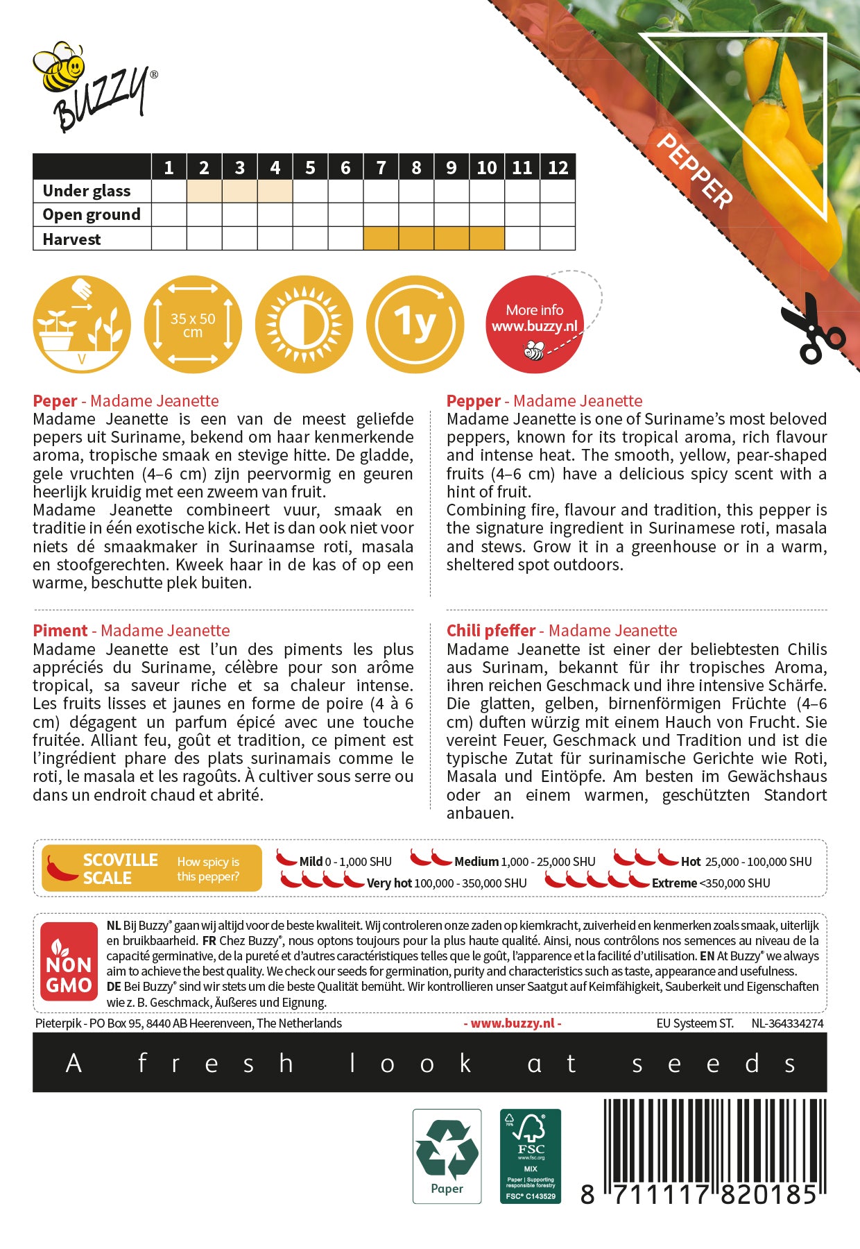 Madame Jeanette - C.Chinense