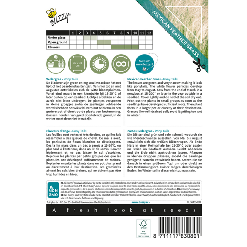 Prydgræs - Pony tails - Stipa Tenussima