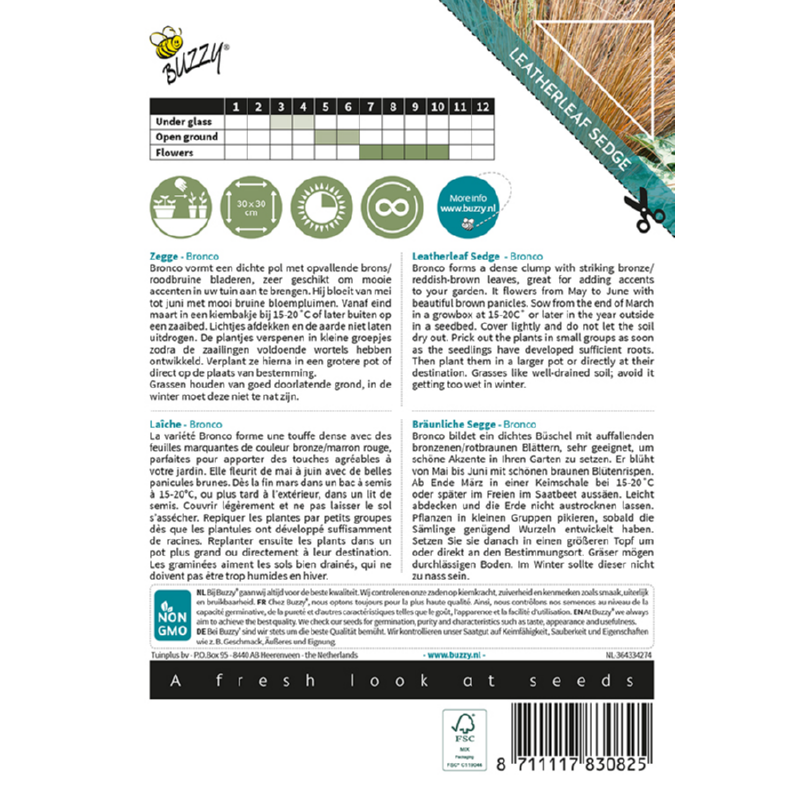 Prydgræs - Bronco - Carex comans